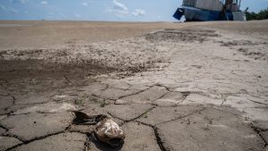 Munich Re alerta para aumento significativo de perdas devido ao El Niño este ano